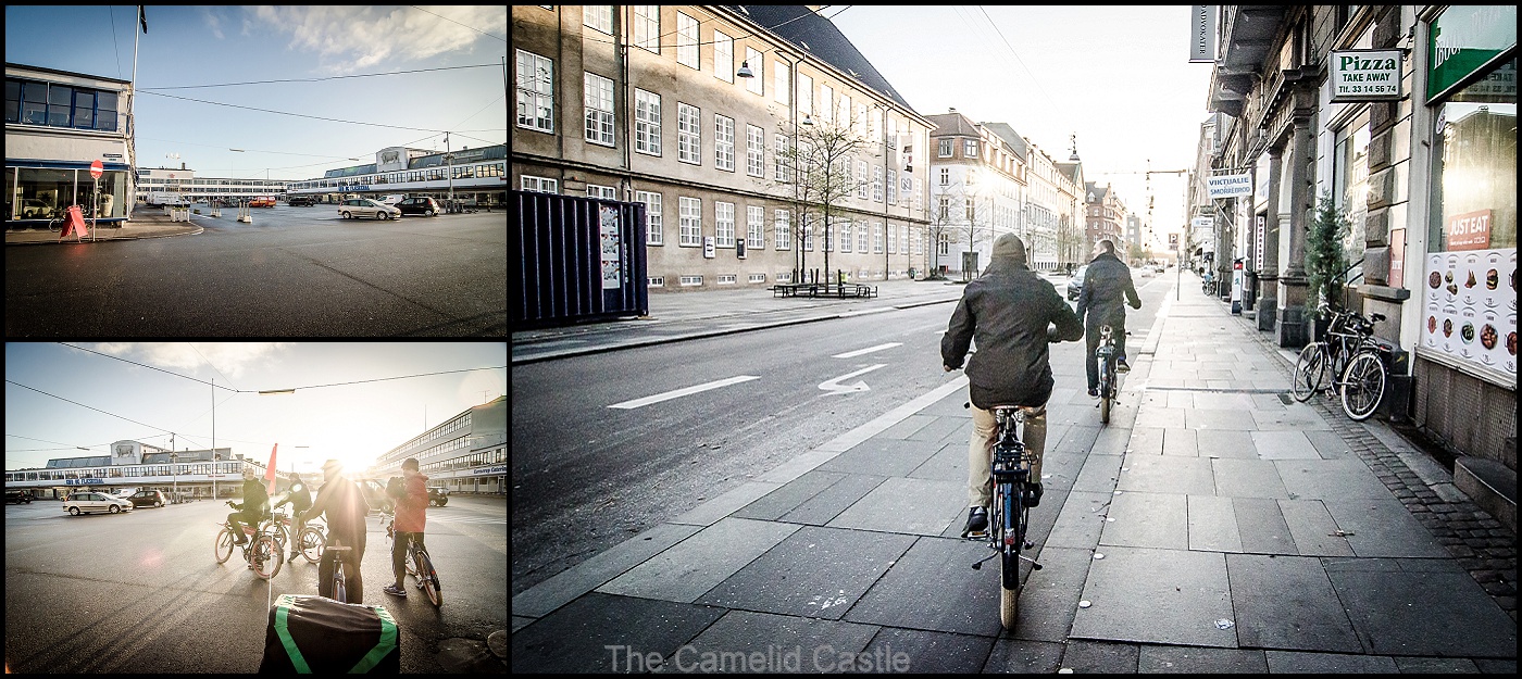 Copenhagen bike tour